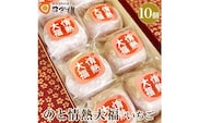 のと情熱大福　10個入り（いちご）｜クリーム大福 だいふく 和菓子 お菓子 なめらか 苺
