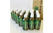 能登のま菜茶（中島菜入り緑茶）　350ml×24本