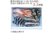 能登の朝どれ「いきいき七尾魚」おまかせ鮮魚ボックス 大（3～5種類）（下処理なし） ｜ 魚 新鮮 詰め合わせ ※北海道・青森・沖縄・離島及び九州（福岡県を除く）配送に2日以上かかる地域へのお届け不可