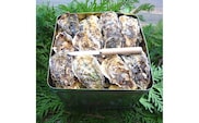 魚介類 牡蠣 / 能登かき / 殻付き・加熱用・一斗缶［約80～100個］ ※2025年12月上旬～2026年5月上旬頃に順次発送 ※離島への発送不可