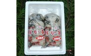 魚介類 牡蠣 / 能登かき / むき身・加熱用［むき身650g×2個］ ※2025年12月上旬～2026年5月上旬頃に順次発送予定 ※離島への発送不可