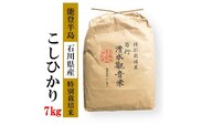 【発送時期が選べる】【新米予約】清水観音米こしひかり （特別栽培米7kg）精米 特別栽培米指定 ※2023年10月上旬～12月下旬頃に順次発送予定