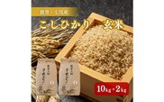 【発送時期が選べる】石川県七尾産コシヒカリ「能登の国」玄米10kg＋2kg（6kg×2袋）◇ 石川県 七尾市 国産 ふっくら ツヤツヤ 甘い ※2024年2月上旬～7月中旬頃に順次発送予定
