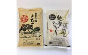 【発送時期が選べる】石川県七尾産精米コシヒカリ5kg・能登ひかり5kg セット 合計10kg◇ ※2024年2月上旬～7月中旬頃に順次発送予定