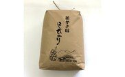 【発送時期が選べる】【定期便】石川県七尾産コシヒカリ（精米 10kg）×全3回 ※2024年2月上旬～5月下旬頃に順次発送予定