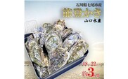 【発送時期が選べる】山口水産の能登かき 殻付き 小缶　3kg(18～22個入)◇ ｜ 石川県 七尾市 能登 ※2025年1月中旬頃～4月下旬頃に順次発送予定 ※離島への配送不可