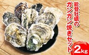 能登牡蠣のガンガン焼きセット20個(約2kg)(冷凍)(牡蠣ナイフ、片手用軍手付)