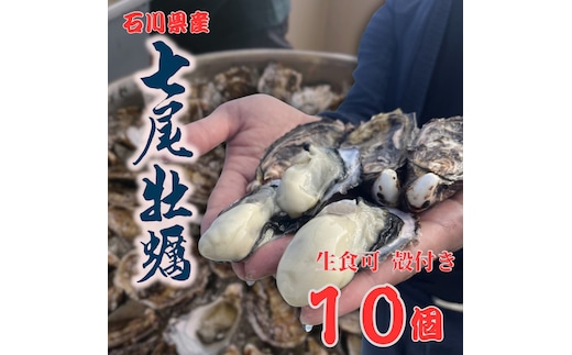 七尾牡蠣10個入り ※北海道・沖縄・離島への配送不可 ※2026年1月上旬頃より順次発送予定