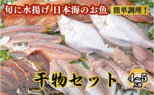 魚介類 / 能登の朝どれ「いきいき七尾魚」干物セット｜魚 鮮魚 詰め合わせ 贈答 ギフト