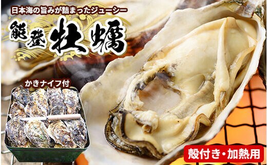 魚介類 牡蠣 /能登かき/殻付き・加熱用・半斗缶［約40～50個］◇ ※2023