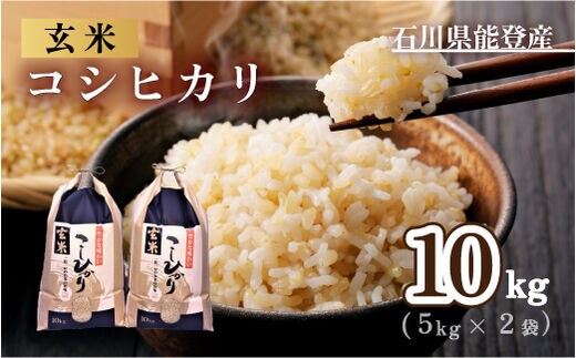 コシヒカリ・20キロ❣️特別 玄米 miffy様、専用 令和6年産 特別栽培コシヒカリ 玄米20キロ 【公式通販】