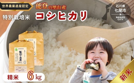 【能登半島地震復興支援】米 /能登のコシヒカリ 飯川のお米 6kg（精米3kg×2袋）特別栽培米 石川県 七尾市 能登 ※2026年10月～発送