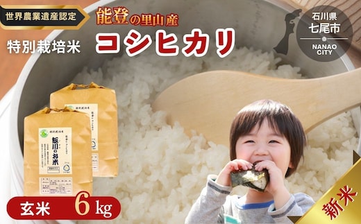 米 玄米 /能登のコシヒカリ 飯川のお米 6kg（玄米3kg×2袋）特別栽培米 ※2026年10月～発送 石川県 七尾市