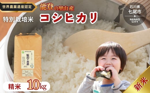 米 /能登のコシヒカリ 飯川のお米 10kg（精米10kg×1袋）特別栽培米 ※2026年10月～発送 石川県 七尾市