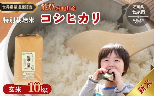 米 玄米 /能登のコシヒカリ 飯川のお米 10kg（玄米10kg×1袋）特別栽培米 ※2026年10月～発送 石川県 七尾市