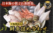 魚介類 鮮魚 / 能登の朝どれ「いきいき七尾魚」鮮魚詰め合わせ（2～3人前） ※北海道・青森・沖縄・離島及び九州（福岡県を除く）配送に2日以上かかる地域へのお届け不可 ※2026年1月中旬頃より順次発送予定