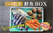 能登の朝どれ「いきいき七尾魚」おまかせ鮮魚ボックス 小（2～4種類）（下処理なし） ｜ 魚 新鮮 詰め合わせ ※北海道・青森・沖縄・離島及び九州（福岡県を除く）配送に2日以上かかる地域へのお届け不可