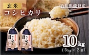 米 玄米 20kg /石川県能登産こしひかり　玄米20kg（10kg×2袋）/日本初！世界農業遺産認定「能登の里山里海」の恵み ※2024年1月中旬～2月下旬頃に順次発送予定