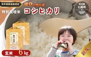 米 玄米 /能登のコシヒカリ　飯川のお米　6kg（玄米3kg×2袋）特別栽培米 ※2026年10月～発送 石川県 七尾市