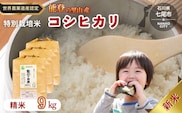 米 /能登のコシヒカリ　飯川のお米　9kg（精米3kg×3袋）特別栽培米 ※2024年10月中旬～2025年3月下旬頃に順次発送予定 石川県 七尾市