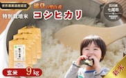 米 玄米 /能登のコシヒカリ　飯川のお米 9kg（玄米3kg×3袋）特別栽培米 ※2024年10月中旬～2025年3月下旬頃に順次発送予定 石川県 七尾市