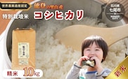 米 /能登のコシヒカリ　飯川のお米　10kg（精米10kg×1袋）特別栽培米 ※2026年10月～発送 石川県 七尾市