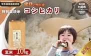 米 玄米 /能登のコシヒカリ　飯川のお米　10kg（玄米10kg×1袋）特別栽培米 ※2026年10月～発送 石川県 七尾市