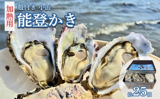 能登かき 殻付き小缶(加熱用) ※北海道・沖縄・離島への配送不可 ※2026年1月中旬～2月中旬頃に順次発送予定