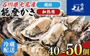 石川県七尾産　能登かき　殻付き　半缶（40～50個） 加熱調理用 ※離島への配送不可 ※2026年1月上旬～5月下旬頃に順次発送予定