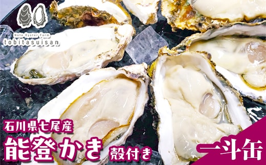 飛田水産 石川県七尾産 能登かき 殻付き一斗缶｜牡蠣 専用ナイフ 牡蠣 かき カキ 能登の里山里海 石川県七尾市 能登半島 ※要加熱 ※2026年1月上旬～5月下旬頃に順次発送予定 ※北海道・沖縄・離島への発送不可
