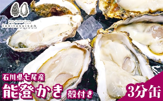 飛田水産 石川県七尾産 能登かき 殻付き3分缶｜牡蠣 専用ナイフ 牡蠣 かき カキ 能登の里山里海 石川県七尾市 能登半島 ※要加熱 ※2026年1月上旬～5月下旬頃に順次発送予定 ※北海道・沖縄・離島への発送不可