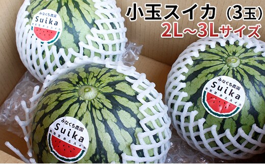 【在庫数限定】小玉スイカ（3玉）1玉約1.8kg～2.8kg 果物類 