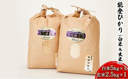 【令和7年度産米】能登ひかり（白米＆玄米）白米5kg×1 玄米2.5kg×1 お米 石川県産 コシヒカリ 