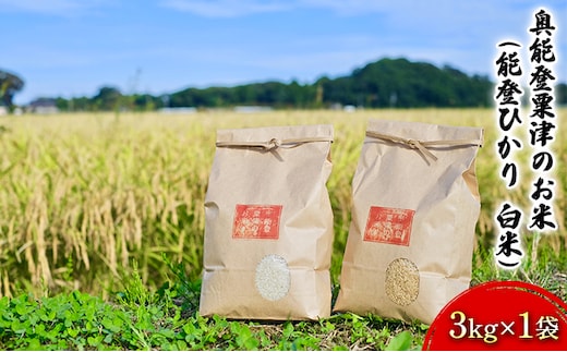 【令和7年度産】奥能登粟津のお米（能登ひかり 白米）3kg×1袋 