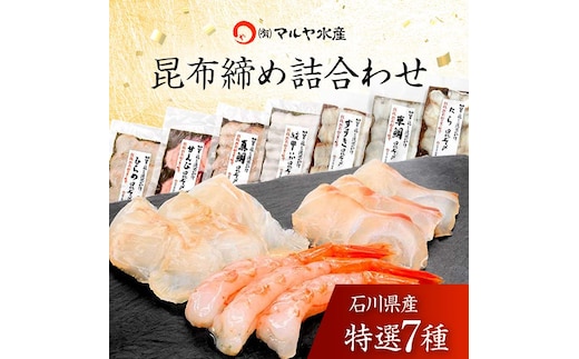 石川県・加賀市 昆布締め 刺身 おまかせ 7種 詰合せ 復興 震災 コロナ【能登半島地震復興支援】 北陸新幹線 F6P-1890