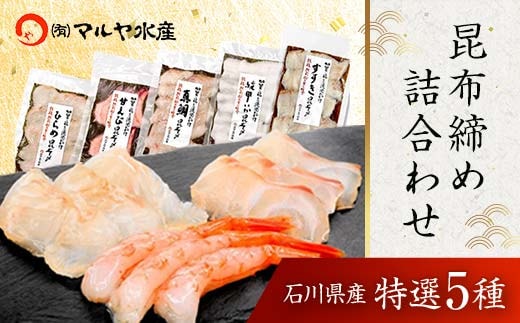 昆布締め詰合せ おまかせ5種 無添加 昆布締め 刺身 おまかせ セット 詰合せ 真空包装 おつまみ 肴 海産物 海の幸 魚介 国産 食品 復興 震災 コロナ 能登半島地震復興支援 北陸新幹線 F6P-0562