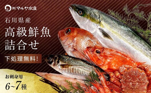 旬の鮮魚詰合せ 6～7種 下処理済み 旬 獲れたて 鮮魚 刺身用 詰合せ セット 海産物 海の幸 魚 魚介 おかず おつまみ 肴 国産 食品 復興 震災 コロナ 能登半島地震復興支援 北陸新幹線 F6P-0564