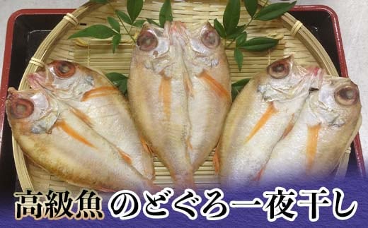 高級魚のどぐろ一夜干し 約120g～150g ×3 一夜干し あかむつ類 のどぐろ ノドグロ 魚 グルメ 海産物 海の幸 干物 おつまみ 肴 食品 復興 震災 コロナ 能登半島地震復興支援 北陸新幹線 F6P-2384