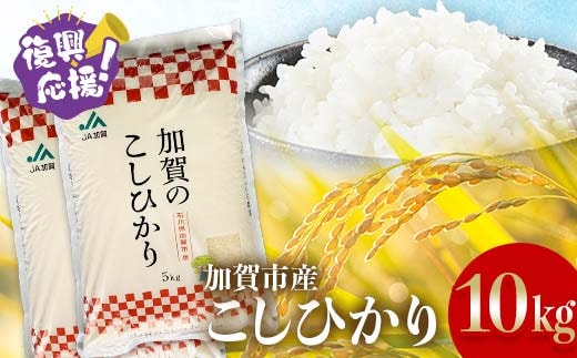 【通常発送】復興応援米 令和7年産こしひかり 10kg(5kg×2袋) 精米 銘柄米 お米 米 ギフト 贈り物 グルメ 食品 復興 震災 コロナ 能登半島地震 復興支援 北陸新幹線 F6P-2925