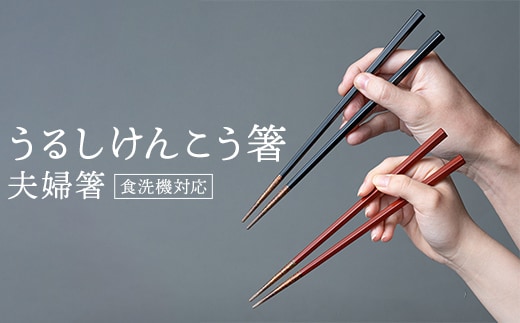 華正工房 うるしけんこう箸 食洗機対応 ペア (夫婦箸) 化粧箱入り F6P-2841