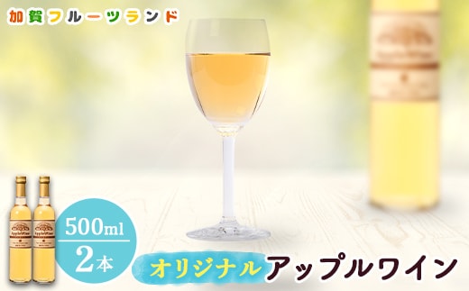 オリジナルアップルワイン 500ml×2本 F6P-1817