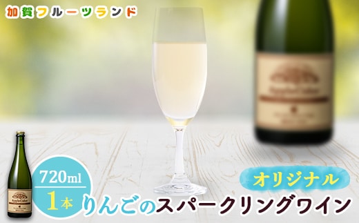 オリジナルりんごのスパークリングワイン 750ml×1本 F6P-1818
