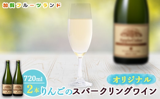 オリジナルりんごのスパークリングワイン 750ml×2本 F6P-1819
