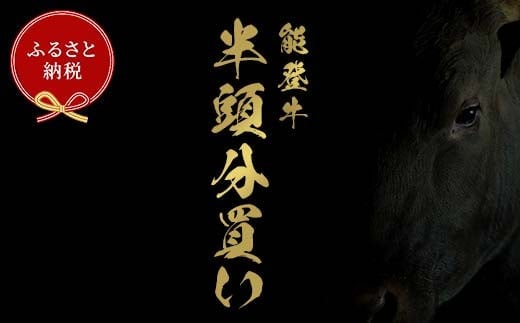 【和牛セレブ】能登牛 半頭買い（12分割配送） 【2026年1月以降発送】牛肉 最高級 半頭買い 黒毛和牛 能登牛 和牛セレブ F6P-2159