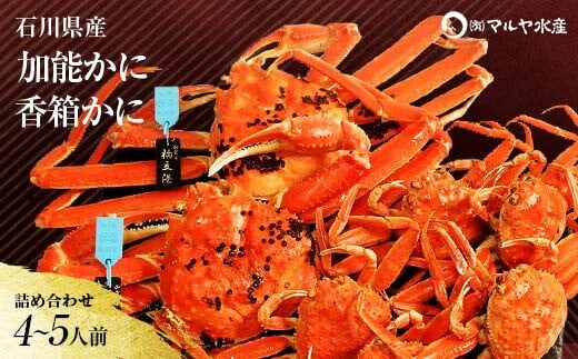 石川県産 加能かに ズワイガニ ( 産地証明タグ付 ) 大サイズ 2匹 + 香箱かに 5匹 詰合せ ( 4～5人前 ) 12月16日～12月26日発送 食べ比べ セット ズワイガニ F6P-2767