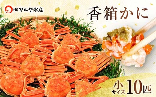 石川県産 香箱蟹 せいこ 小サイズ 10匹 詰合せ 12月16日～12月26日発送 浜茹で 産地直送 ズワイガニ ずわいがに ずわい蟹の雌 先行予約 予約 せいこ 蟹 かに グルメ F6P-2769
