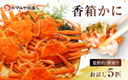 石川県産 香箱蟹 せいこ 訳あり 小さめ 5匹 詰合せ 12月16日～12月26日発送 浜茹で 産地直送 F6P-2773