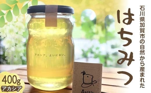 石川県産はちみつ あかしあ 400g ハチミツ 蜂蜜 加工品 調味料 食品 F6P-2816