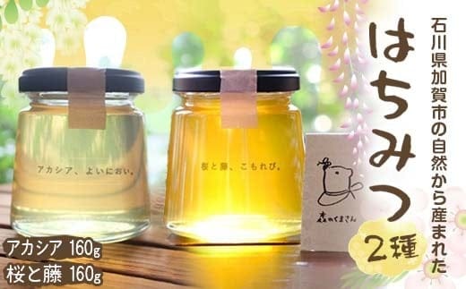 石川県産はちみつ あかしあ160g×桜と藤160g ハチミツ 蜂蜜 加工品 調味料 食品 F6P-2817