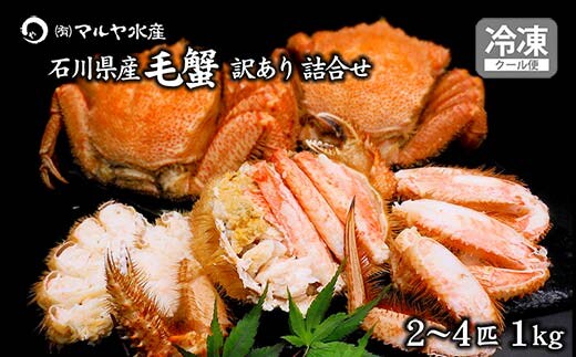 毛ガニ 毛蟹 訳あり 2〜4匹 1.0kg セット 石川県産 茹で蟹 F6P-3033